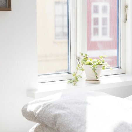 Gertruds Petit Hotel オーデンセ エクステリア 写真